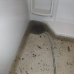 浴室　排水管清掃　作業事例